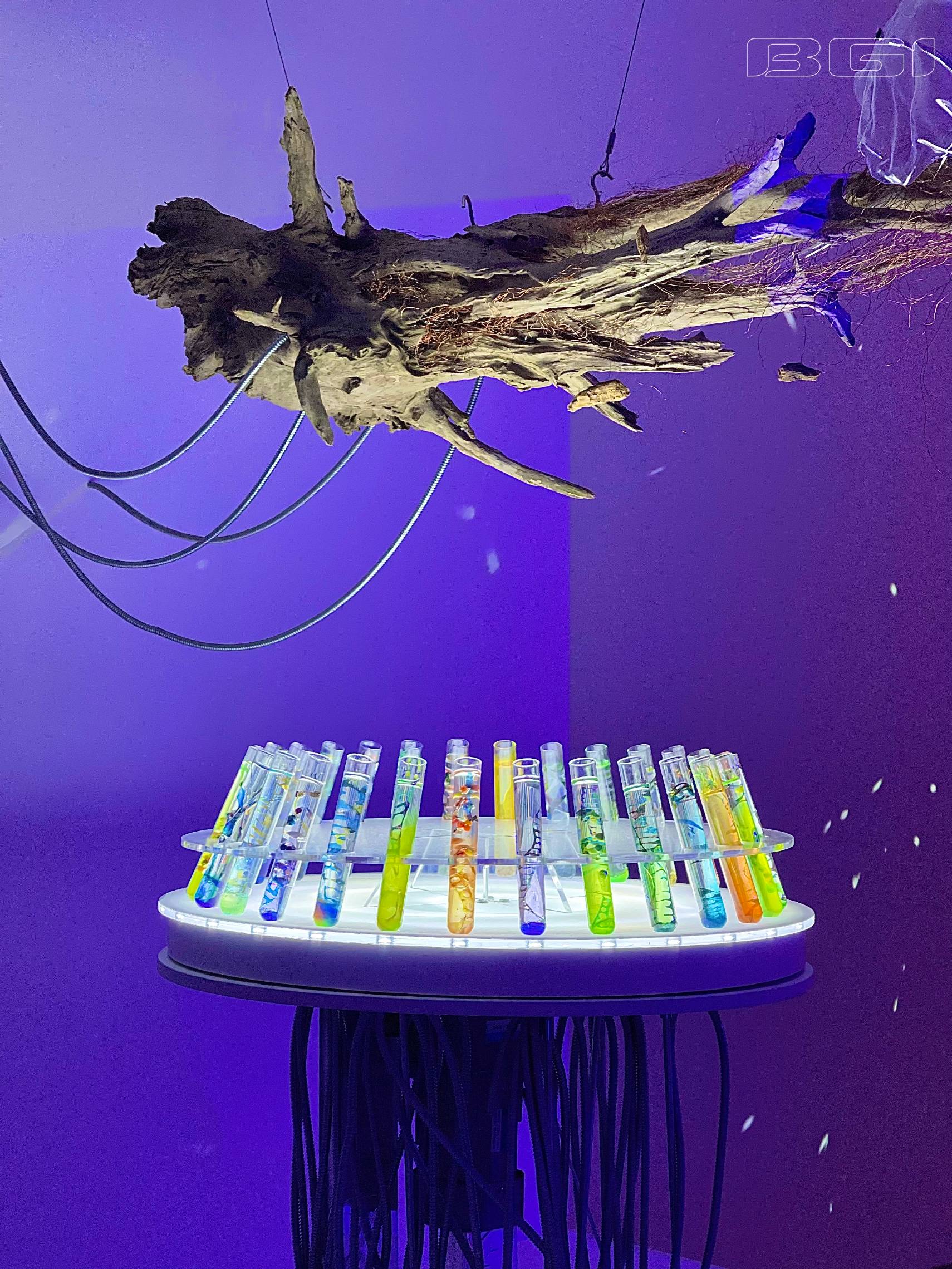 加拿大28_JND28展望_PC展望_实时盘问|效果数据剖析