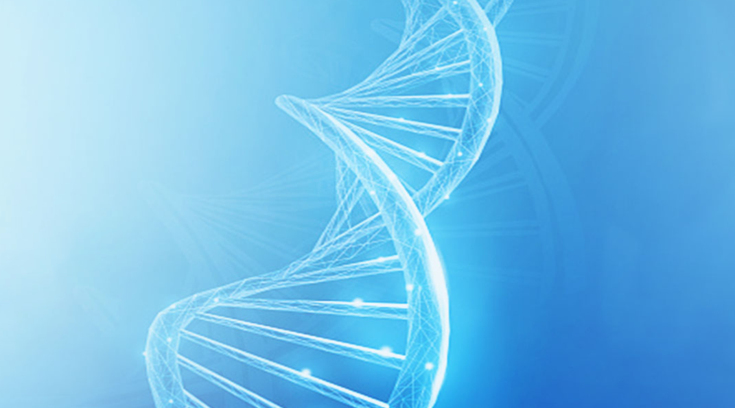 加拿大28_JND28展望_PC展望_实时盘问|效果数据剖析