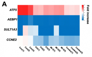 加拿大28_JND28展望_PC展望_实时盘问|效果数据剖析